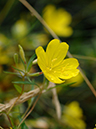 %_tempFileName01-20070701-0406%