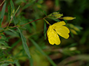%_tempFileName03-20070701-0408%