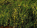 %_tempFileName01-20110505-0789%