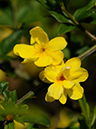 %_tempFileName02-20110505-0790%