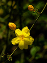 %_tempFileName03-20110505-0791%
