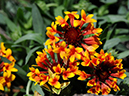 %_tempFileName01-20080506-0256%