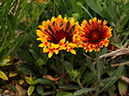 %_tempFileName02-20090503-0033%
