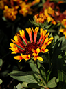 %_tempFileName03-20101121-0342%