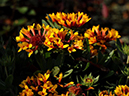%_tempFileName04-20101121-0343%