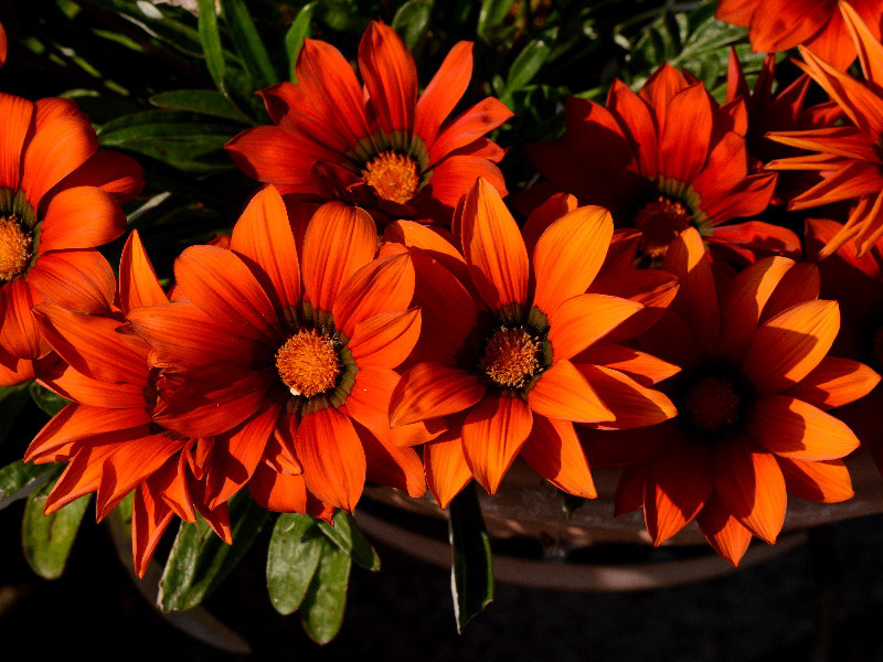 %_tempFileName03-20141124-0223%