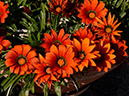 %_tempFileName01-20141124-0220%