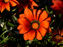 %_tempFileName02-20141124-0221%