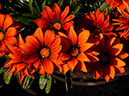 %_tempFileName03-20141124-0223%
