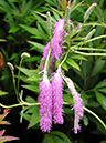 %_tempFileName01-20080622-0279%