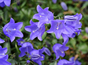 %_tempFileName01-20100509-0377%