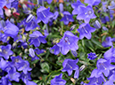 %_tempFileName02-20100509-0378%
