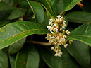 %_tempFileName01-20091025-0219%
