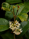%_tempFileName02-20091025-0220%