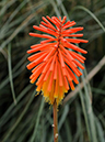 %_tempFileName01-20091129-0216%