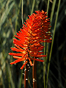 %_tempFileName02-20101226-0218%