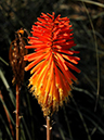 %_tempFileName03-20111218-0475%