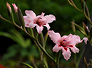 %_tempFileName02-20090503-0084%