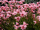 %_tempFileName03-20090506-0252%