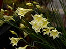 %_tempFileName04-20130323-0215%