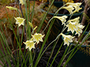 %_tempFileName05-20130323-0216%