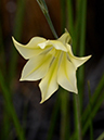 %_tempFileName06-20130323-0217%