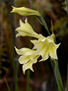 %_tempFileName07-20130323-0218%