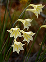 %_tempFileName08-20130323-0219%