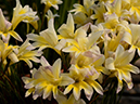%_tempFileName10-20140316-0212%
