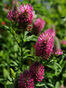 %_tempFileName02-20090607-0212%