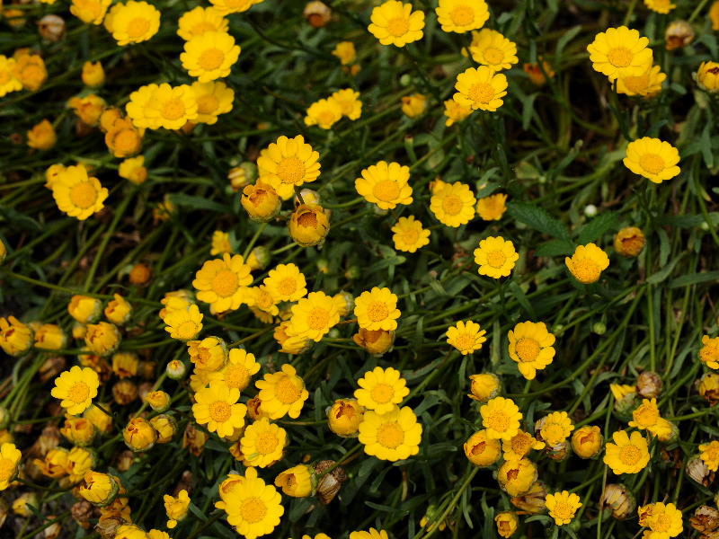 %_tempFileName01-20090607-0173%