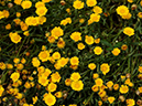 %_tempFileName01-20090607-0173%