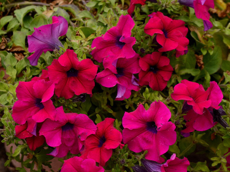 %_tempFileName03-20120603-0319%