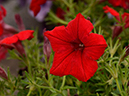 %_tempFileName02-20120603-0317%