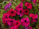 %_tempFileName03-20120603-0319%