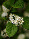 %_tempFileName02-20090503-0086%