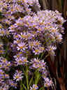 %_tempFileName01-20121008-0273%