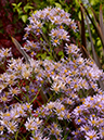 %_tempFileName02-20121008-0274%