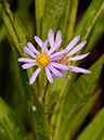 %_tempFileName03-20121008-0275%
