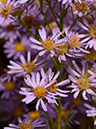 %_tempFileName04-20121008-0276%