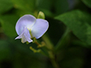 %_tempFileName01-20110919-0138%