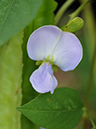 %_tempFileName02-20110919-0140%