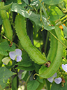 %_tempFileName03-20110919-0143%