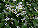 %_tempFileName01-20060416-0244%
