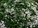 %_tempFileName02-20060416-0244%