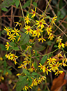 %_tempFileName04-20091129-0222%