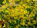 %_tempFileName06-20111120-0207%