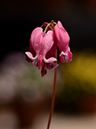 %_tempFileName01-20140506-0170%