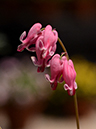 %_tempFileName02-20140506-0171%