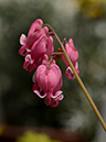 %_tempFileName03-20140506-0172%